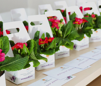 Մառնեուլիի քաղաքապետարանը 980 լարի է ծախսել մարտի 8-ի շնորհավորական բացիկների և ծաղիկների համար