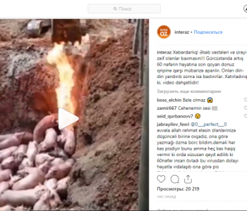 აზერბაიჯანულ მედიაში ავრცელებენ, რომ საქართველოში "ღორის გრიპს"  ღორების ცოცხლად დაწვით ებრძვიან