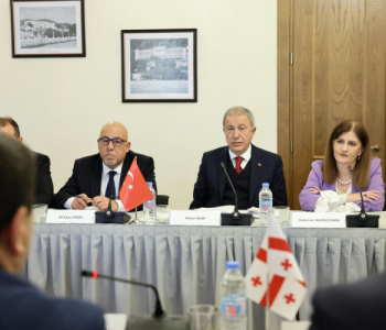 Şalva Papuaşvili Türkiyə Respublikasının nümayəndə heyəti ilə görüşüb