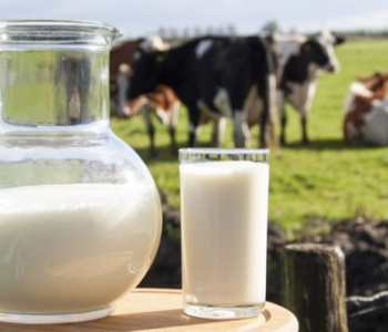 10 ქვეყანა, სადაც რძე ყველაზე ძვირი/იაფია - რომელ ადგილზეა საქართველო