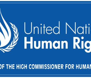 BMT-nin İnsan Haqları Komitəsi: Biz hökuməti qanun layihəsini geri götürməyə çağırırıq