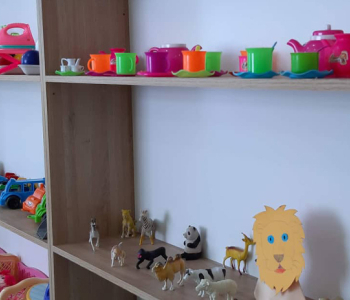 Մառնեուլիի մանկապարտեզների  համար գնվել է 61738 լարիի խաղալիք