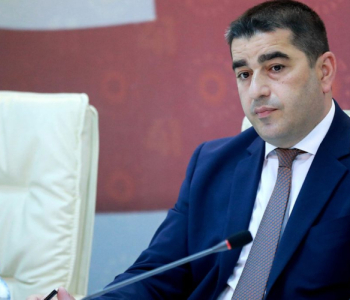 Papuaşvili: Bu aksiyalar bizə insanların bu qanun layihəsini dəstəklədiyini göstərdi