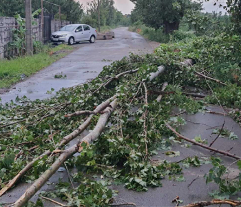 Dünən, 20 iyun tarixində Marneuli bələdiyyəsində güclü külək
nəticəsində ağaclar yıxılıb və bir neçə yolu bağlayıb.
