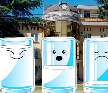 Մառնեուլիի քաղաքապետարանը նախատեսում է խմելու ջուր գնել 31822 լարիով