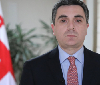 İlia Darçiaşvili prezidentin impiçment prosesi ilə bağlı 