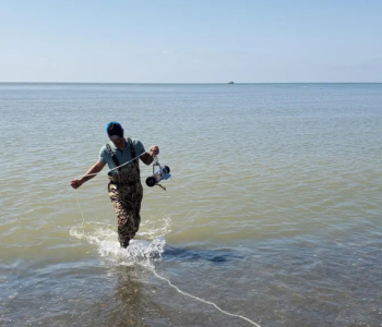 Milli Ətraf Mühit Agentliyi - Qara dənizin suyunun keyfiyyəti bütün perimetr üzrə norma daxilindədir